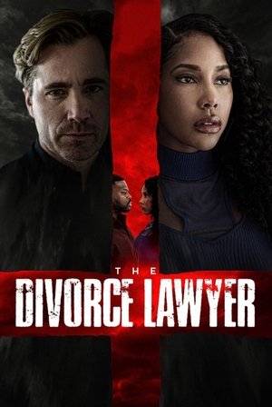 The Divorce Lawyer (2025) Hindi (MULTI AUDIO) – – 1080p